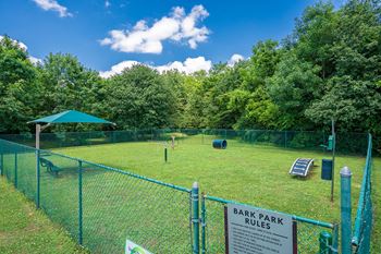 Bark park